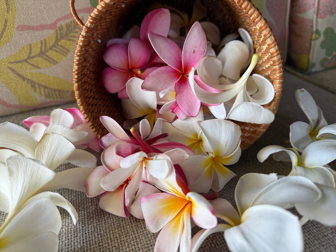 The Delicate Scents of Plumeria, Rose, and Jasmine