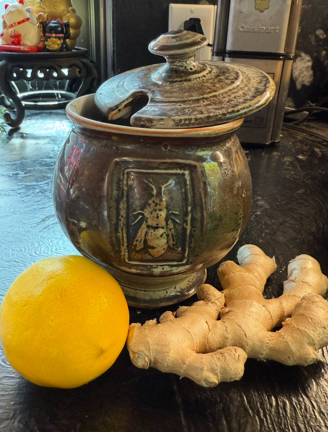 Through the Looking Glass Series- An Ode to Ginger (Part 2)